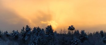 Победитель Всероссийского фотоконкурса  